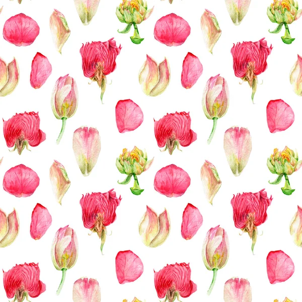 Dessin aquarelle fleurs dans une coupe, rose et tulipe, motif sans couture — Photo