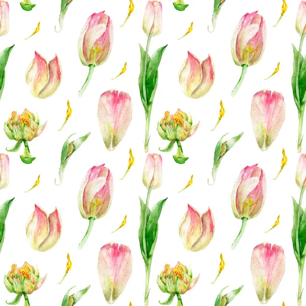 Акварельний малюнок квітів у розрізі, тюльпан, безшовний візерунок — стокове фото