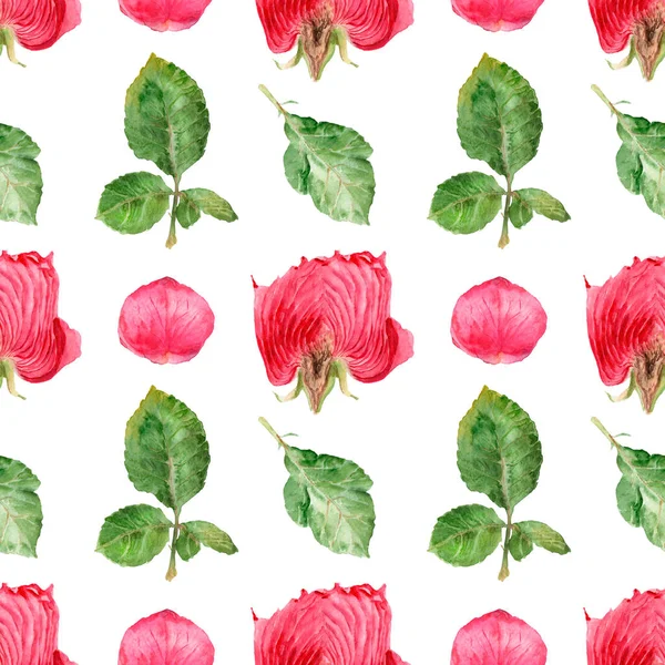Aquarela desenho flores em um corte, rosa, padrão sem costura — Fotografia de Stock