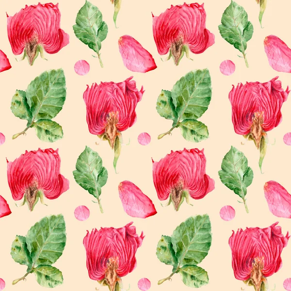 Aquarel bloemen in een gesneden, roos, naadloze patroon tekenen — Stockfoto