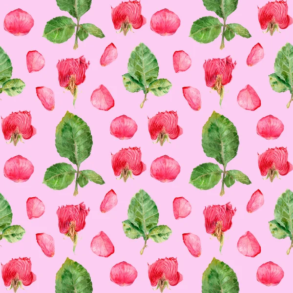 Watercolor drawing flowers in a cut, rose, seamless pattern — Stock Photo, Image