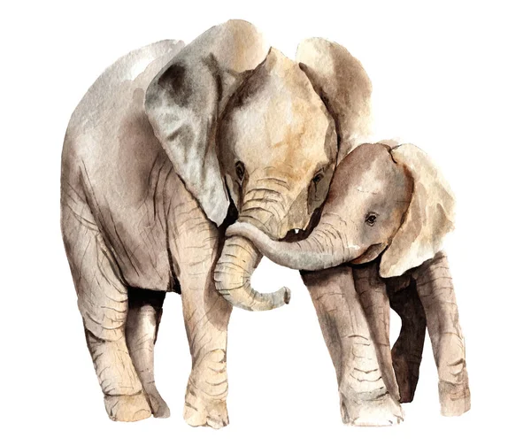 수채화 동물-아이 함께 아프리카 코끼리 — 스톡 사진