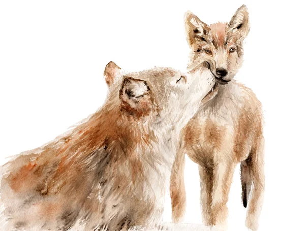 Aquarel dieren - red wolf met een kind — Stockfoto