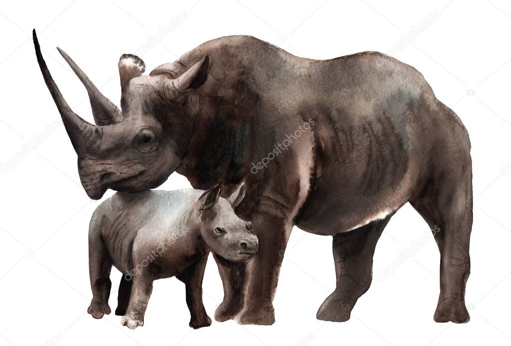 watercolor animals - black rhino with a kid