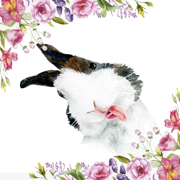 水彩画的动物-兔子在花 — 图库照片