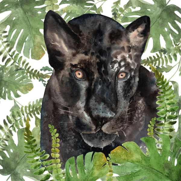 Akwarela rysunek zwierzęcia-Pantera w tropików — Zdjęcie stockowe