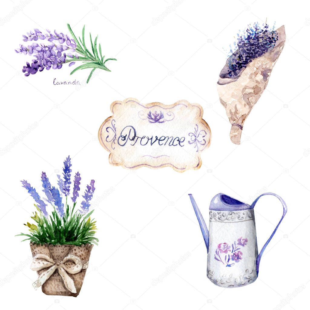 watercolor drawings in Provence style. set: bouquet, jug, vase, lavender