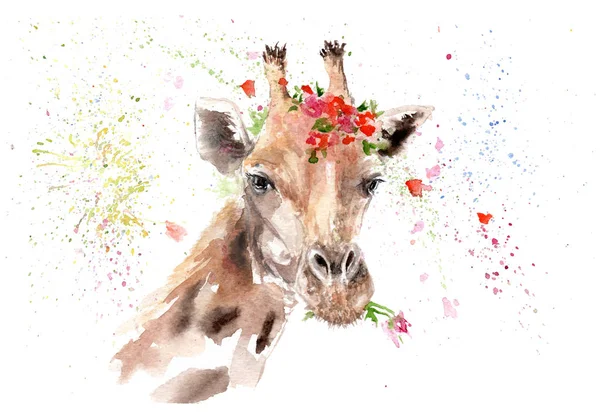수채화 동물의 그림-꽃에 기린 — 스톡 사진