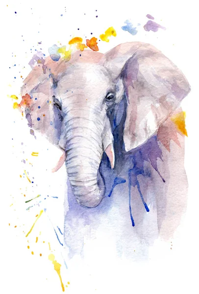 Watercolor drawing of an animal - an elephant in flowers — Φωτογραφία Αρχείου