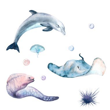 suluboya seti okyanus, deniz: yunus, Moray, deniz ürçene, denizanası, Stingray, inci