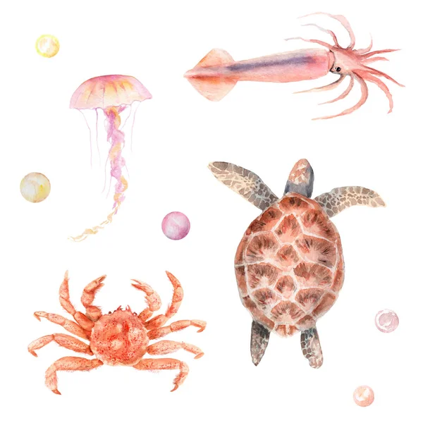 Conjunto acuarela océano, mar: tortuga, cangrejo, calamar, medusas, perlas — Foto de Stock
