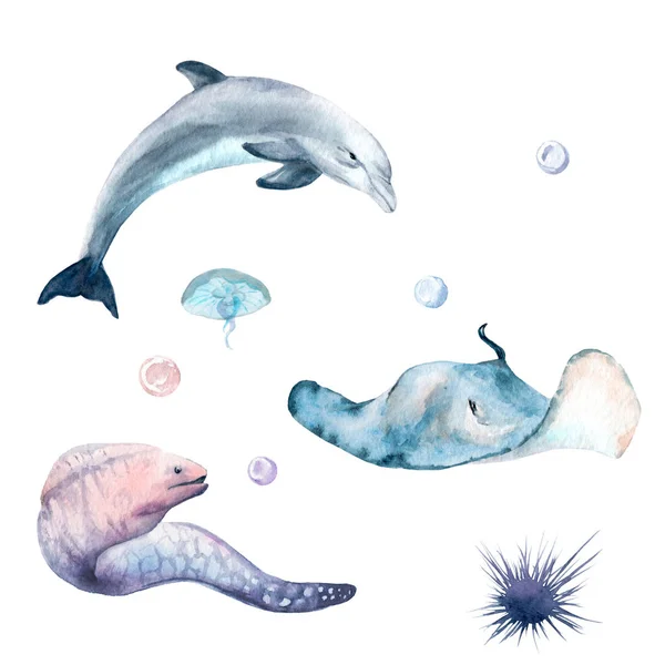 Watercolor set ocean, sea: dolphin, moray, sea urchin, jellyfish, stingray, pearl — Stock Photo, Image