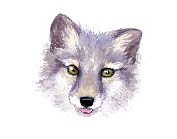 Desenho a aquarela de um animal - maikong, esboço — Fotografia de Stock