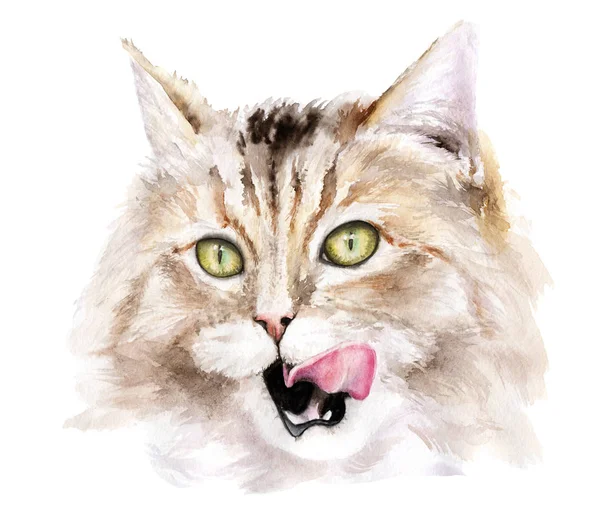 Aquarel tekening van een kat met tong. kat likken — Stockfoto