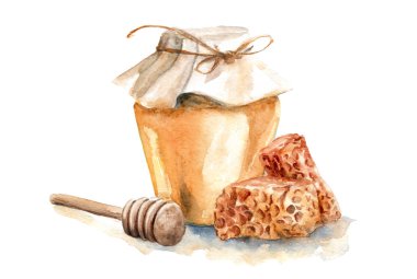 petekler ile bir kavanoz içinde suluboya çizim bal