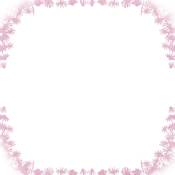 Acuarela dibujo de flores - rosa y púrpura equinácea, marco —  Fotos de Stock