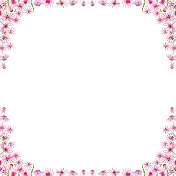 Akvarel květin-růžová a fialová Echinacea, rám — Stock fotografie