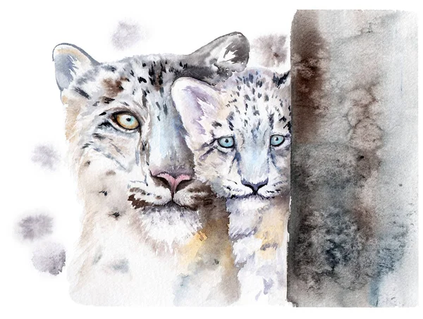 Acuarela dibujo de los animales - leopardo de nieve con un bebé —  Fotos de Stock