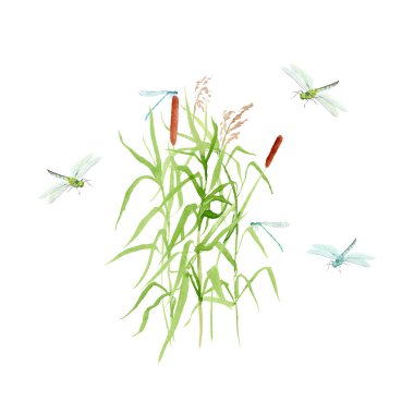 suluboya boyama Pond - sazlık ve yusufçuk ile kompozisyon