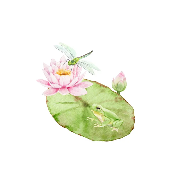 Akvarell festés Pond-kompozíció Lily és szitakötők — Stock Fotó