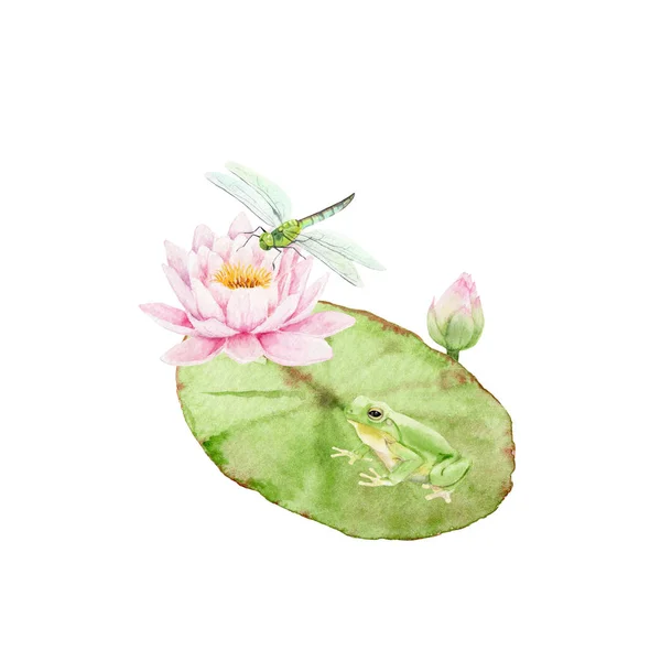 watercolor painting Pond - composition with lily and dragonflies