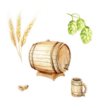 bira festivali için suluboya seti: varil, şerbetçiotu, arpa, kupa