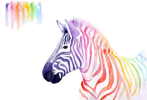 bir hayvanın suluboya çizim - gökkuşağı zebra
