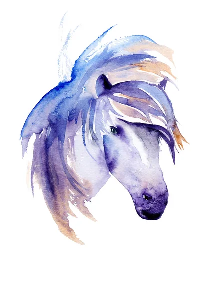 Aquareltekening van een dier paard, gevlekt hoofd — Stockfoto