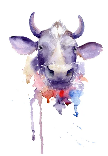 watercolor drawing of an animal, head of a cow
