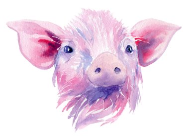 Tatlı bir hayvanın suluboya resmi - pembe domuz
