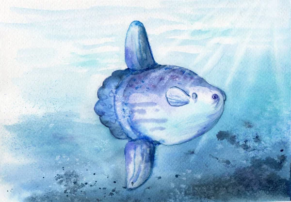 Aquareltekening Van Een Grote Maanvis Mola Oceaan Maanvis Met Waterachtergrond — Stockfoto