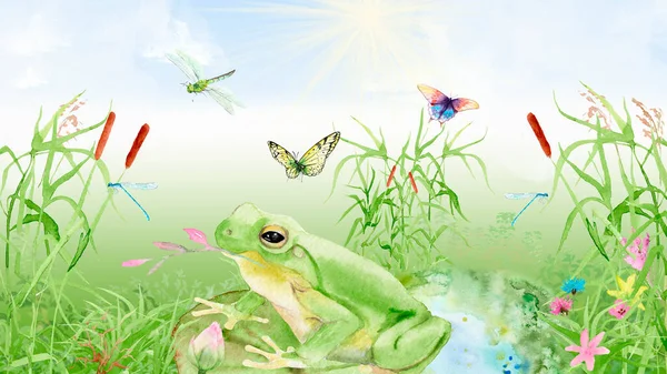 Acuarela Ilustración Con Estanque Cañas Libélulas Mariposas Sketch Frog Cuento —  Fotos de Stock