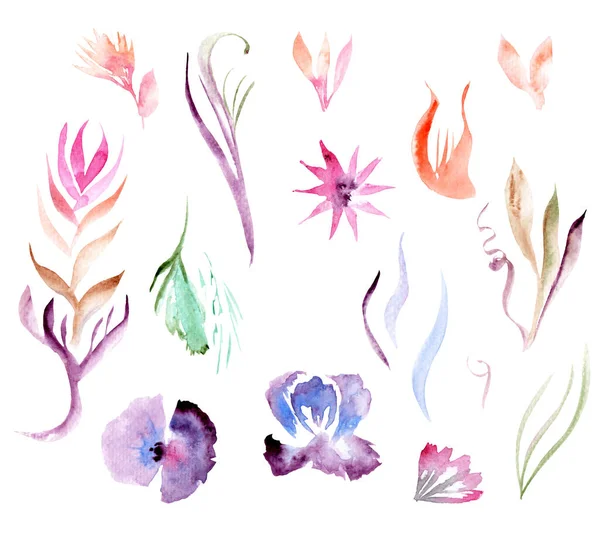 Aquareltekeningen Een Samenstelling Van Bloemen Bladeren Set — Stockfoto