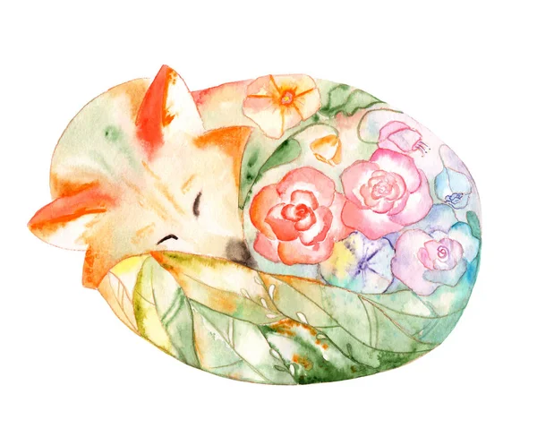 Akvarell Rajz Illusztráció Egy Alvó Róka Virágok Vázlat — Stock Fotó