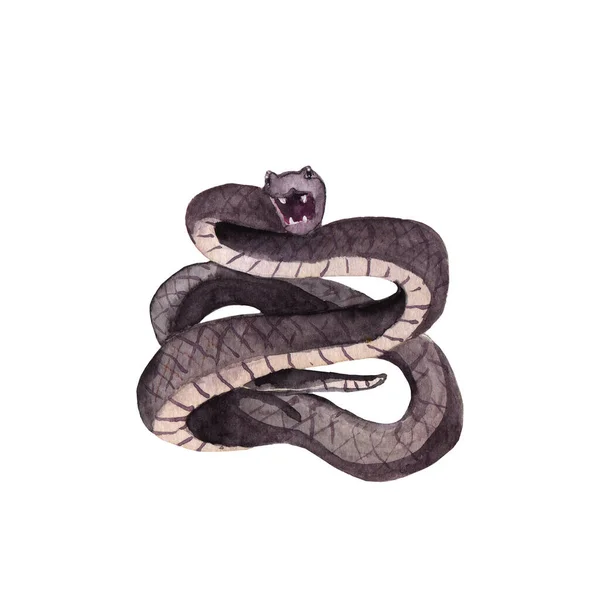 Dessin Aquarelle Animal Serpent Noir Effrayant Croquis — Photo