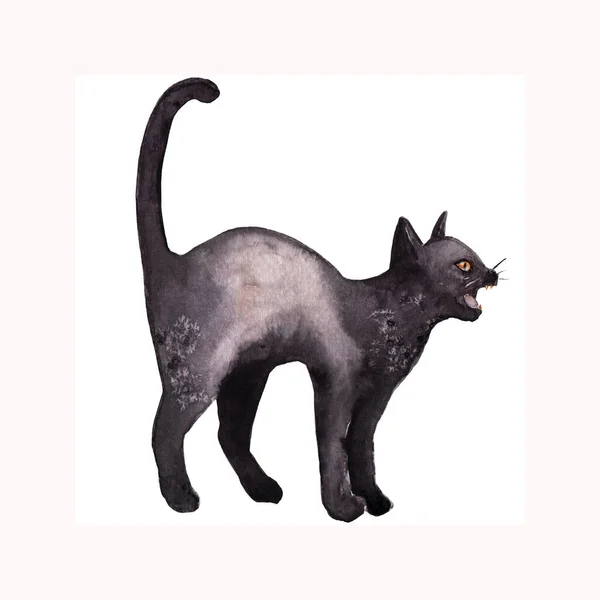 Aquareltekening Van Een Dier Enge Zwarte Kat Schets — Stockfoto