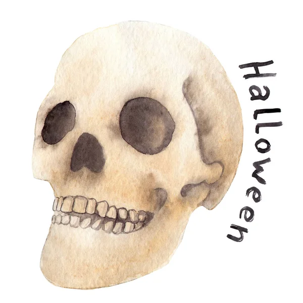 watercolor drawing - a skull for the holiday Halloween, lettering, sketch