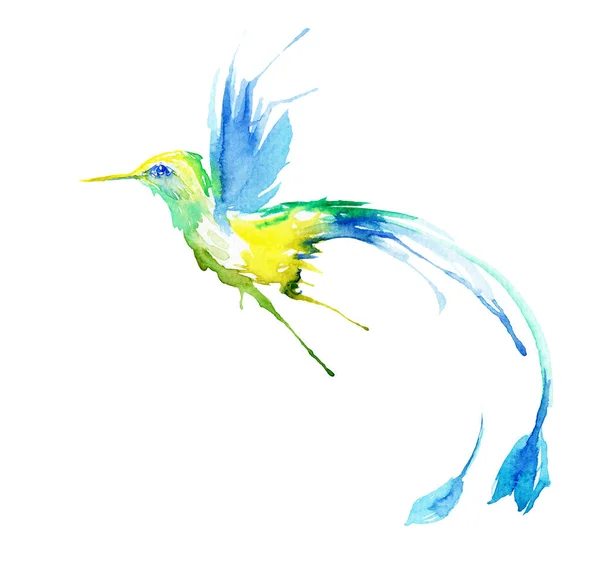 El dibujo de acuarela del pájaro - el colibrí — Foto de Stock