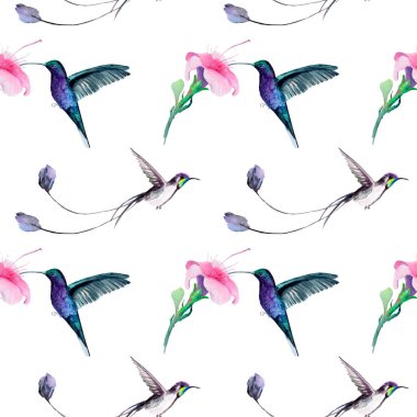 Bir kuşun suluboya çizimi - sinekkuşu deseni