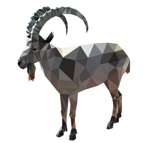 Imagen Vectorial Una Cabra Montaña Animal Poligonal Low Poly — Vector de stock