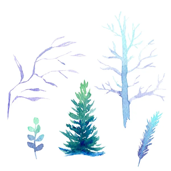 Watercolor Set Winter Forest Tree Spruce Branches — Stock Photo, Image