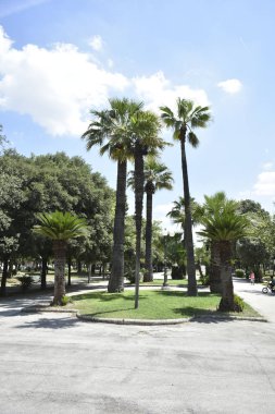 Sabah bir şehirde ortak alan