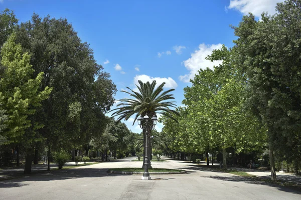 Kamu Parkı'nda sabah