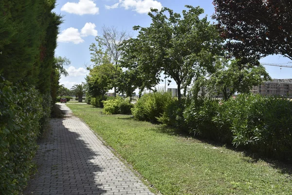 Área Parque Público Por Mañana — Foto de Stock