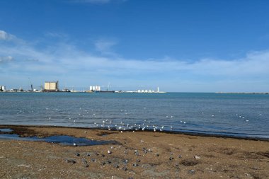 Güneşli bir sabah, Barletta deniz manzarası