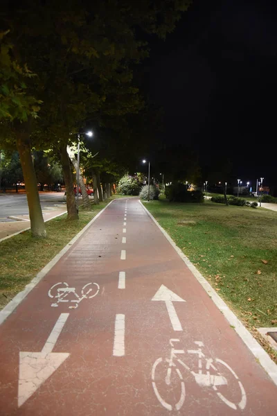 Gece şehirde gece bisiklet yolu 