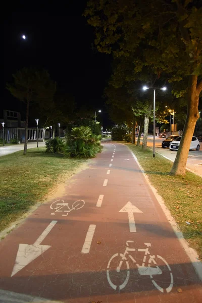 Gece şehirde gece bisiklet yolu 