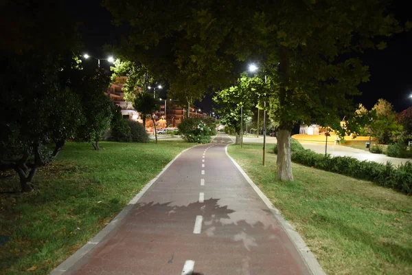 Gece şehirde gece bisiklet yolu 