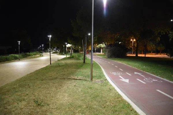 Gece şehirde gece bisiklet yolu 