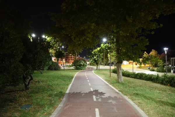 Gece şehirde gece bisiklet yolu 